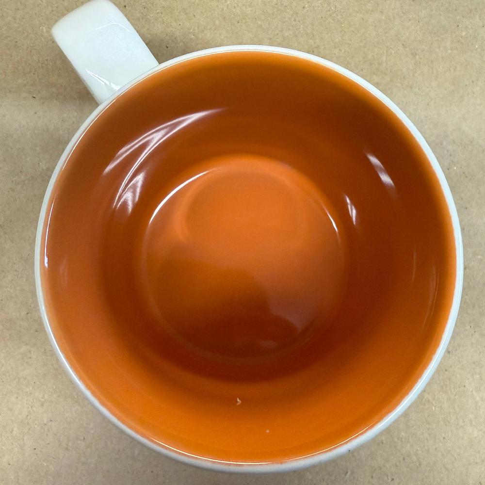 Starbucks Global Icon Collector Series Netherlands Mug-2016